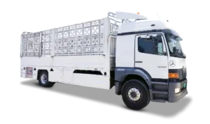 10 Ton Pickup Transports Truck